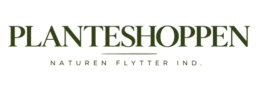 PlanteShoppen